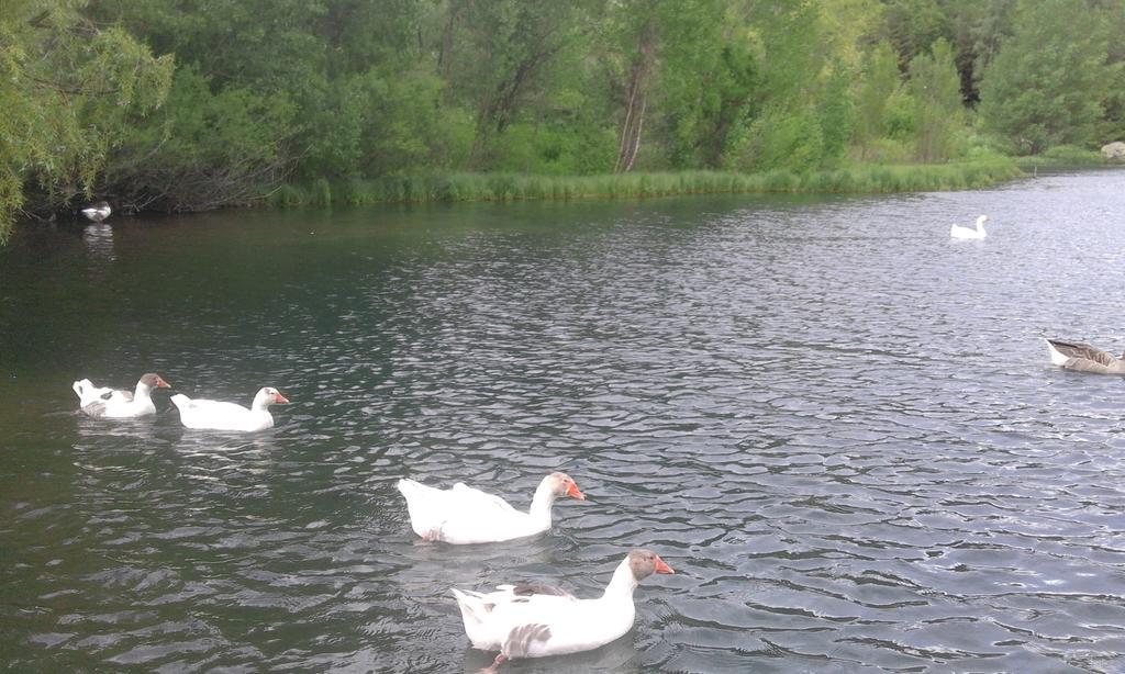 Jermuk Verona Resort מראה חיצוני תמונה